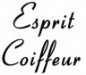 Code promo et bon de réduction ESPRIT COIFFEUR MONTIGNY : Forfait Couleur 49€