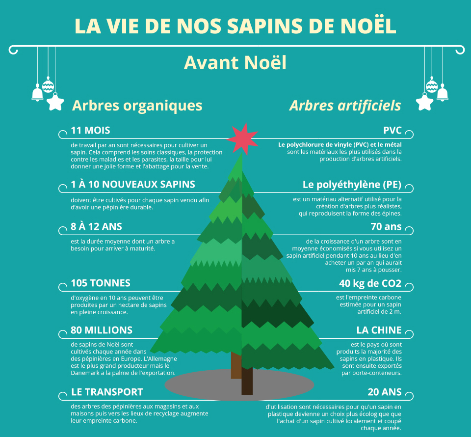 sapin de noel écologie