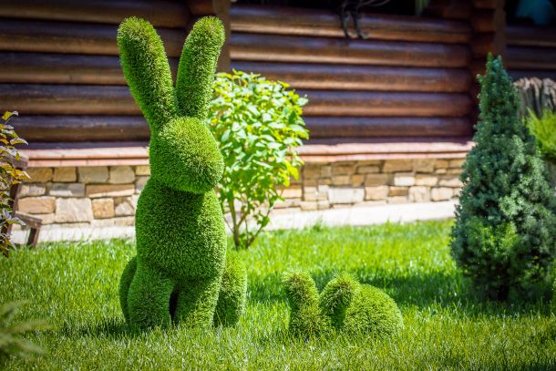 offres promo jardin