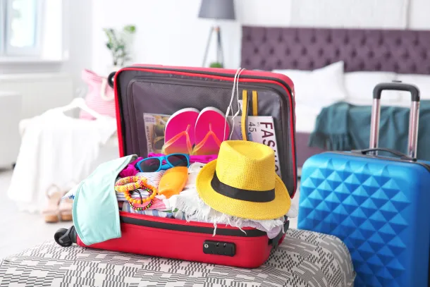 valise pour economiser