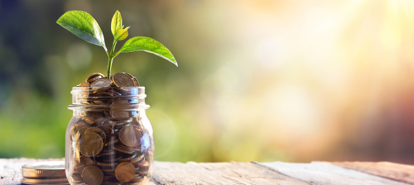 Codes promos et réductions PRICEMINISTER