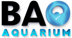Code Promo Bao Aquarium Code Promo Valable Sur Bao Aquarium Com Reducavenue