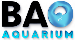 Code promo et bon de réduction Bao Aquarium  : BON PLAN : Livraison Offerte