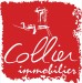 Code promo et bon de réduction COLLIER IMMOBILIER CHALON SUR SAONE : Diagnostics immobiliers obligatoires remboursés