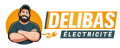 Code promo et bon de réduction Delibas Electricité COLMAR : 15% de remise