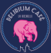 Code promo et bon de réduction Delirium Café LA ROCHELLE : 1 Pinte offerte