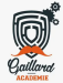 Code promo et bon de réduction Gaillard Academie BRIVE LA GAILLARDE : 50% de remise