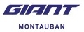 Code promo et bon de réduction Giant MONTAUBAN : 15% offerts