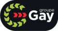 Code promo et bon de réduction Louis Gay Etablissements CASTELNAU-D'ESTRÉTEFONDS : 15% DE REMISE