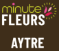 Code promo et bon de réduction Minute Fleurs AYTRE : 5€ de remise