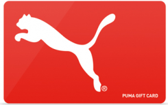 reduction puma fr