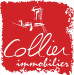 Code promo et bon de réduction REGIE COLLIER CHALON SUR SAONE : Bon plan : diagnostics immobiliers remboursés