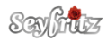 Code promo et bon de réduction Tourisme et voyages Seyfritz OBERNAI : 1 cadeau personnalisé offert !