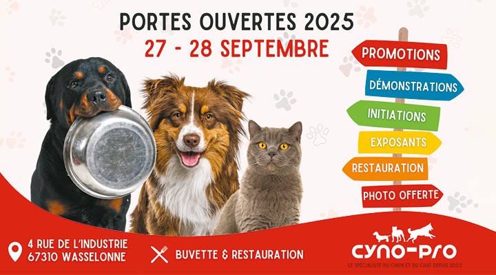 Bannière publicitaire notoriété - Solution 360 - Rentrée 2025 - CYNO-PRO