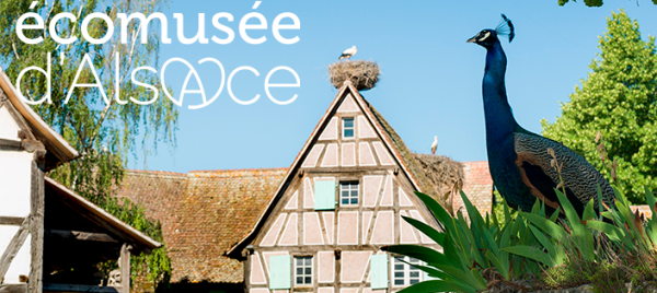 Jeu et concours Jeu Journées de la Biodiversité - Écomusée d'Alsace (68) - Gagnez votre Pass Famille