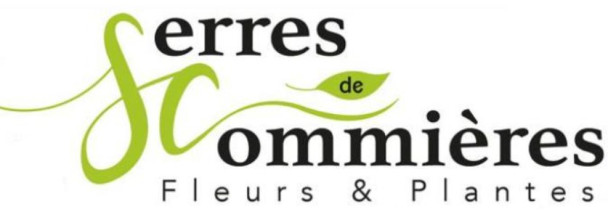 Jeu et concours
