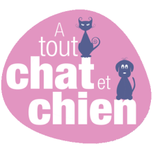Jeu et concours