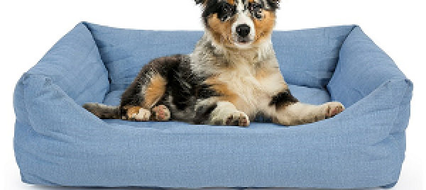 Jeu et concours GRAND JEU KZ ANIMALS - Gagnez un panier pour chien !