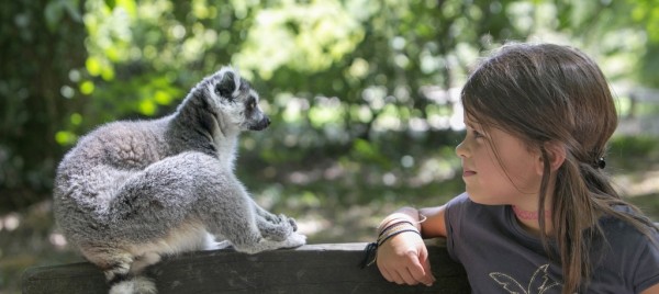 Jeu et concours TENTEZ DE GAGNER 2 PLACES POUR LA VALLÉE DES SINGES !