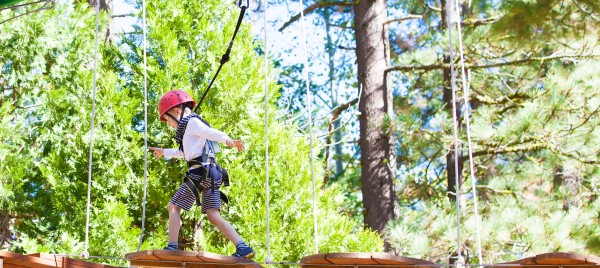 Jeu et concours jeu FOREST ADVENTURE (50) 20 ANS  - Gagnez 1 pass journée