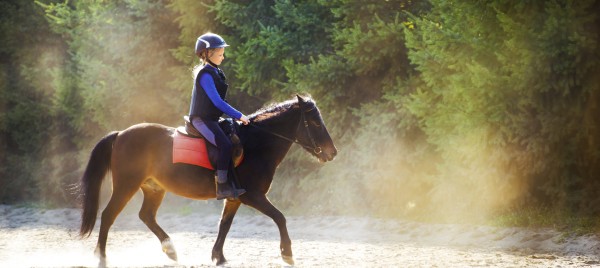 Jeu et concours GRAND JEU HIPPOCAMPO (42)