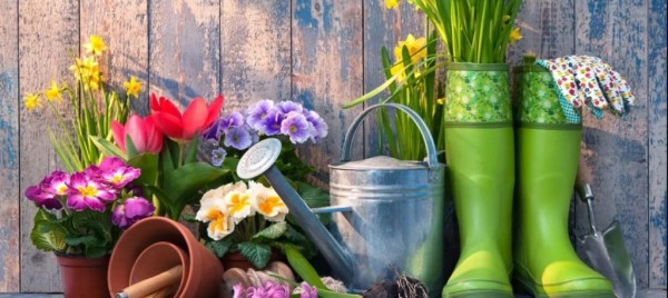 Jeu et concours Gagnez 10 euros de bon d'achat dans vos magasins Baobab Incarville et Gauville-La-Campagne 🍃 🌿