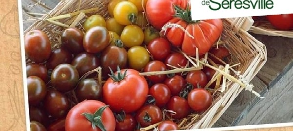 Jeu et concours Grand Jeu chez les Jardins de Seresville | Tentez de remporter votre panier garni !