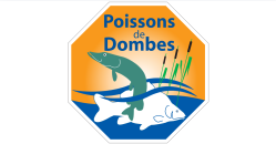 Jeu et concours