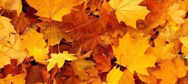 Jeu et concours GRAND JEU MCDONALD'S TOULON - Gagnez 1 coffret collector de figurines Minecraft