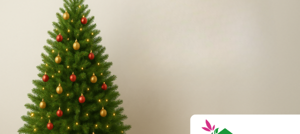 Jeu et concours Gagnez votre sapin de Noël avec Pironnet Paysage (86)