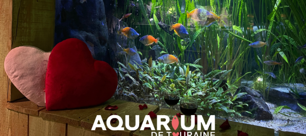 Jeu et concours Grand jeu de la Saint-Valentin à l'Aquarium de Touraine | Tentez de gagner 1 visite + repas + vins pour 2 personnes le 14/02 à 20h