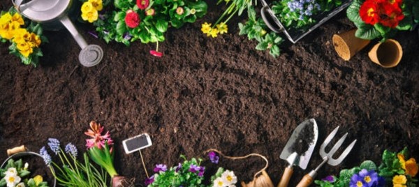 Jeu et concours Gagnez une carte cadeau de 50 € avec Jardi E.Leclerc Querqueville (50) !