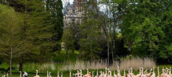 Jeu et concours Grand jeu PARC DE CLERES (76) - Gagnez 1 entrée pour le Parc