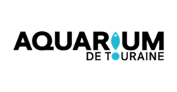 Jeu et concours