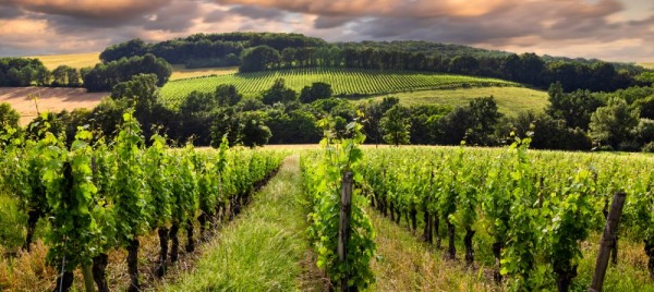 Codes promos et réductions BLAYE CÔTES DE BORDEAUX