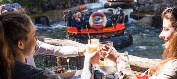 Codes promos et réductions EUROPAPARK