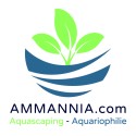 Bons de reduction AMMANNIA