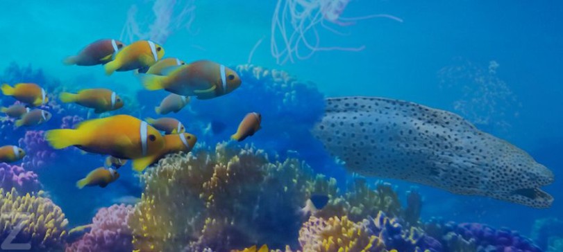 planet_ocean_montpellier