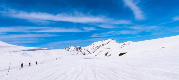 Codes promos et réductions SKISET